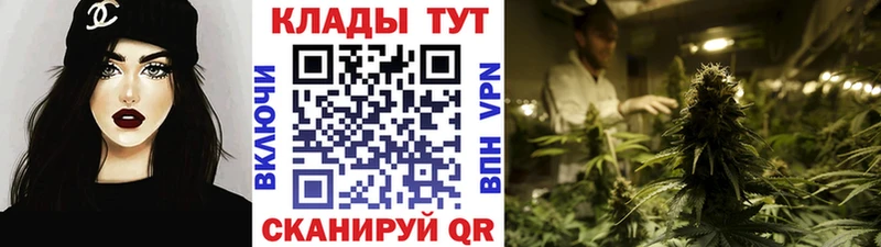 Наркотические вещества Димитровград Амфетамин  Псилоцибиновые грибы  Кокаин  МАРИХУАНА 