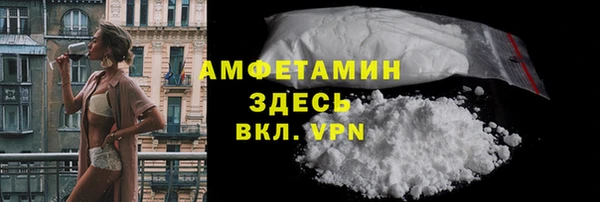 ПСИЛОЦИБИНОВЫЕ ГРИБЫ Гусев