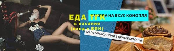 шишки Горно-Алтайск