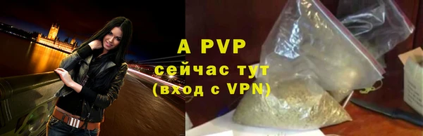шишки Горно-Алтайск