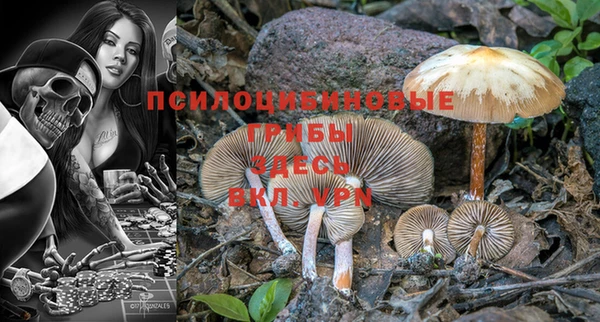 меф Горнозаводск