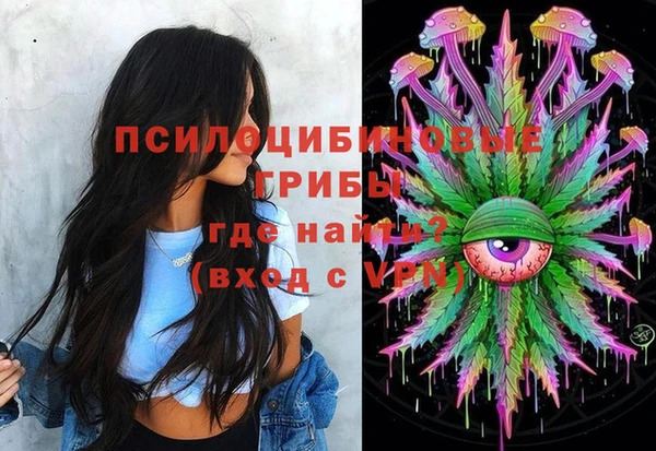 шишки Горно-Алтайск