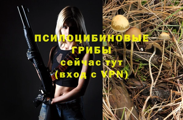 ПСИЛОЦИБИНОВЫЕ ГРИБЫ Гусев