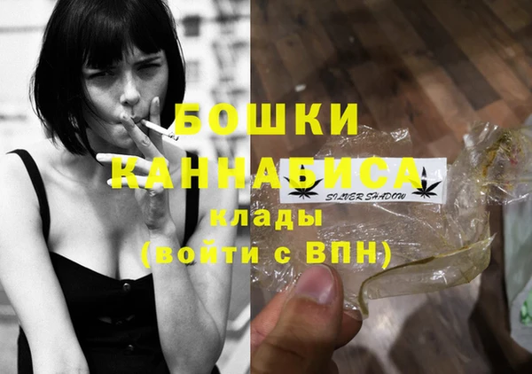 шишки Горно-Алтайск