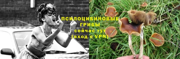 spice Гусь-Хрустальный