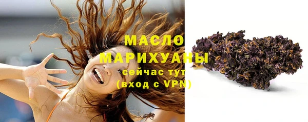 шишки Горно-Алтайск