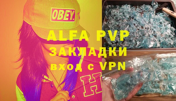 ПСИЛОЦИБИНОВЫЕ ГРИБЫ Гусев