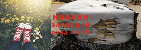 шишки Горно-Алтайск