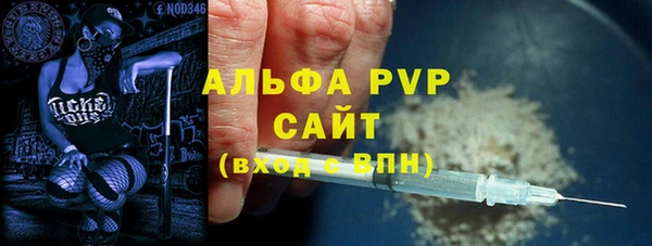 ПСИЛОЦИБИНОВЫЕ ГРИБЫ Гусев