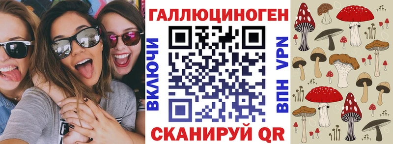 цена наркотик  Димитровград  Псилоцибиновые грибы мухоморы 