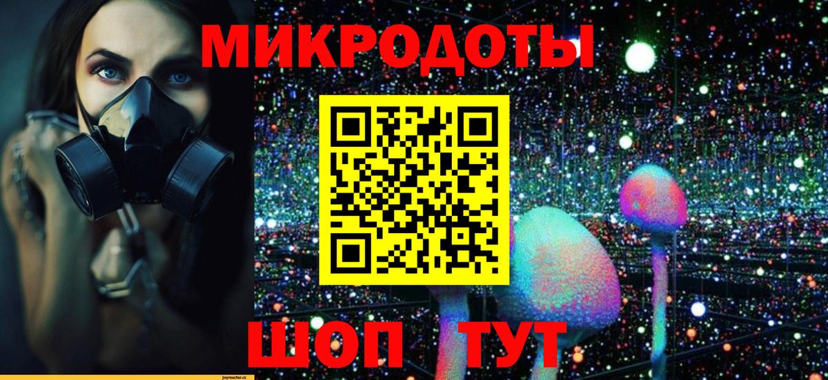 Галлюциногенные грибы мицелий Димитровград