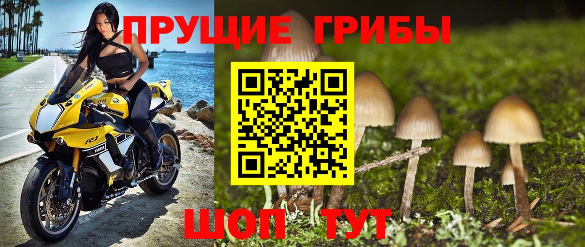 Галлюциногенные грибы MAGIC MUSHROOMS  Вход с VPN  Димитровград 