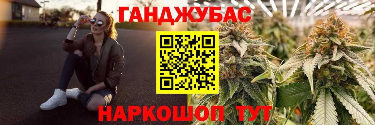 Каннабис сатива Димитровград